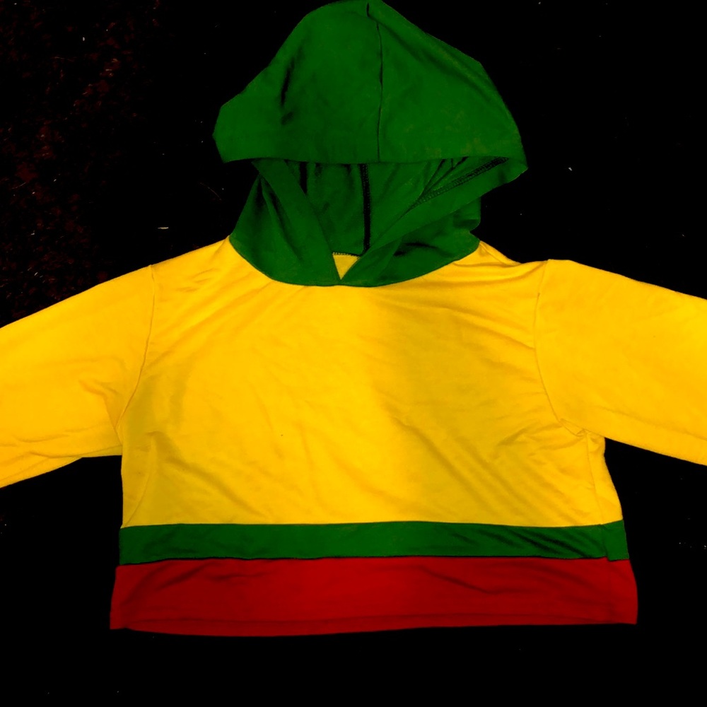 Cropped Rasta color hoodie. Size XL runs small
